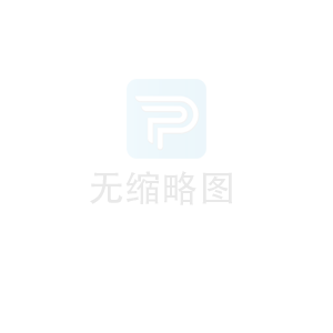 he Core Competitiveness of Pro···